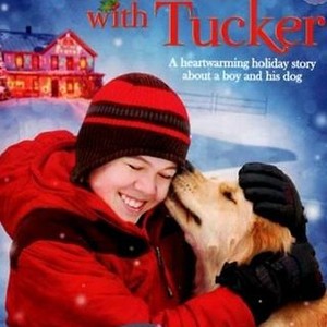 Christmas With Tucker (2013) photo 1