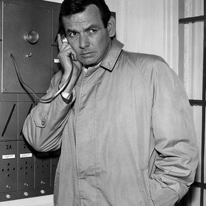 The Fugitive
