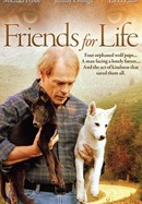 Friends for Life poster image