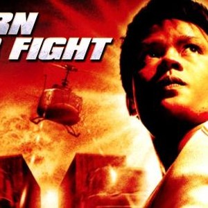 Born To Fight Rotten Tomatoes