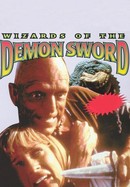 Wizards of the Demon Sword poster image