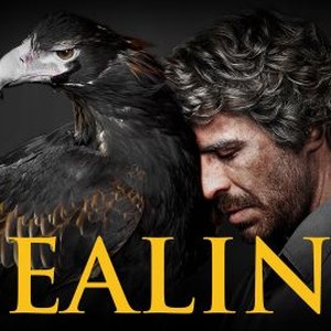 Healing photo 16