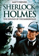 The Hound of the Baskervilles poster image