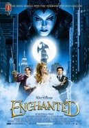 Enchanted poster image