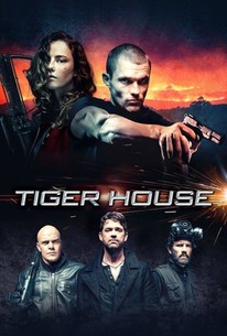 Poster for Tiger House