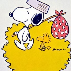 Snoopy, Come Home (1972) photo 6