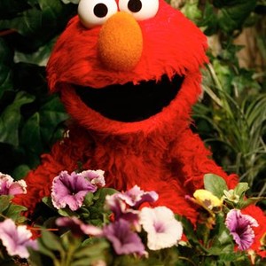 Elmo is voiced by Kevin Clash