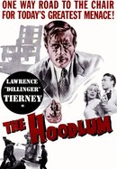 The Hoodlum poster image