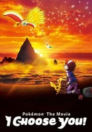 Pokémon the Movie: I Choose You! poster image