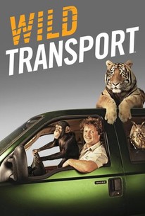 Watch trailer for Wild Transport