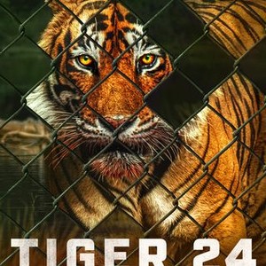 Tiger 24 - Rotten Tomatoes