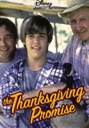 The Thanksgiving Promise poster image