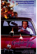 Comfort and Joy poster image