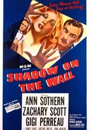 Shadow on the Wall poster image