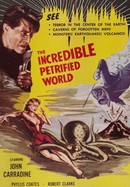 The Incredible Petrified World poster image
