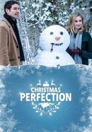 Christmas Perfection poster image