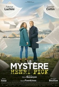 The Mystery of Henri Pick poster