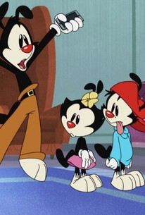 Animaniacs: Season 1, Episode 13 | Rotten Tomatoes