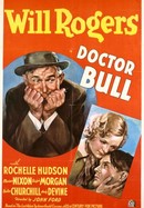 Dr. Bull poster image