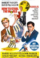 How to Steal the World poster image