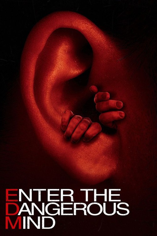 Enter the Dangerous Mind poster
