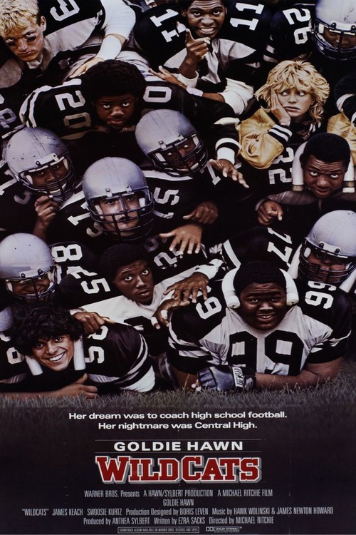 Wildcats poster
