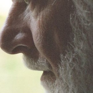 The Father photo 3