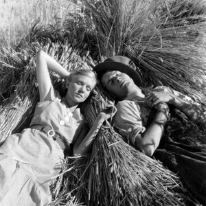GOLDEN HARVEST, from left: Julie Haydon, Richard Arlen, 1933