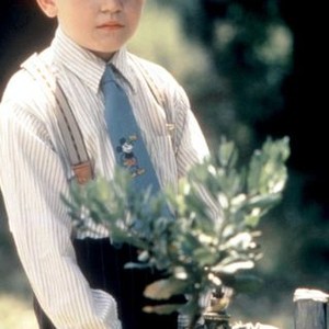 Nicholas Gledhill Rotten Tomatoes