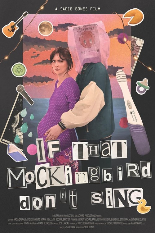 If That Mockingbird Don't Sing poster