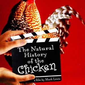 The Natural History of the Chicken photo 2