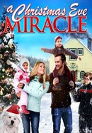 A Christmas Eve Miracle poster image