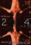2 by 4 poster image