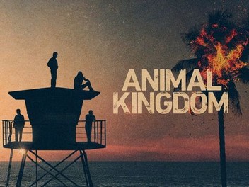 Watch animal kingdom sales season 5 online free