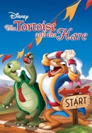The Tortoise and the Hare poster image