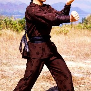 "The Descendant of Wing Chun photo 3"