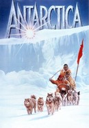 Antarctica poster image
