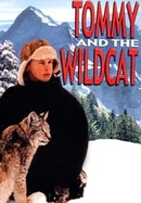 Tommy and the Wildcat poster image