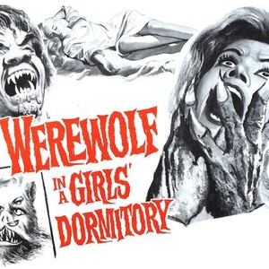 Werewolf in a Girls' Dormitory photo 1