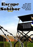 Escape From Sobibor poster image