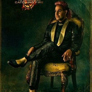 The Hunger Games: Catching Fire - Movie Guy