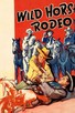 Poster for