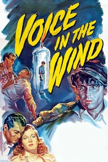 Voice in the Wind | Rotten Tomatoes
