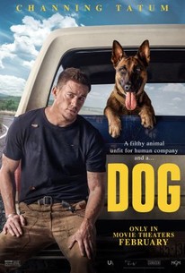 Watch trailer for Dog