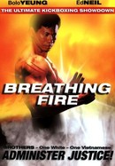 Breathing Fire poster image