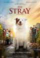 The Stray