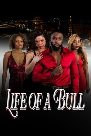 Life of a Bull poster
