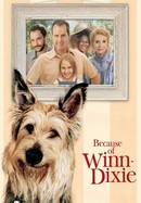 Because of Winn-Dixie poster image