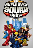 The Super Hero Squad Show poster image