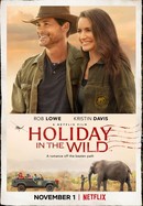 Holiday in the Wild poster image